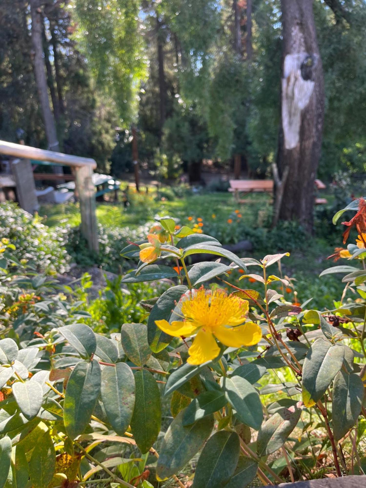 Hostel El Mirador El Bolsón 외부 사진