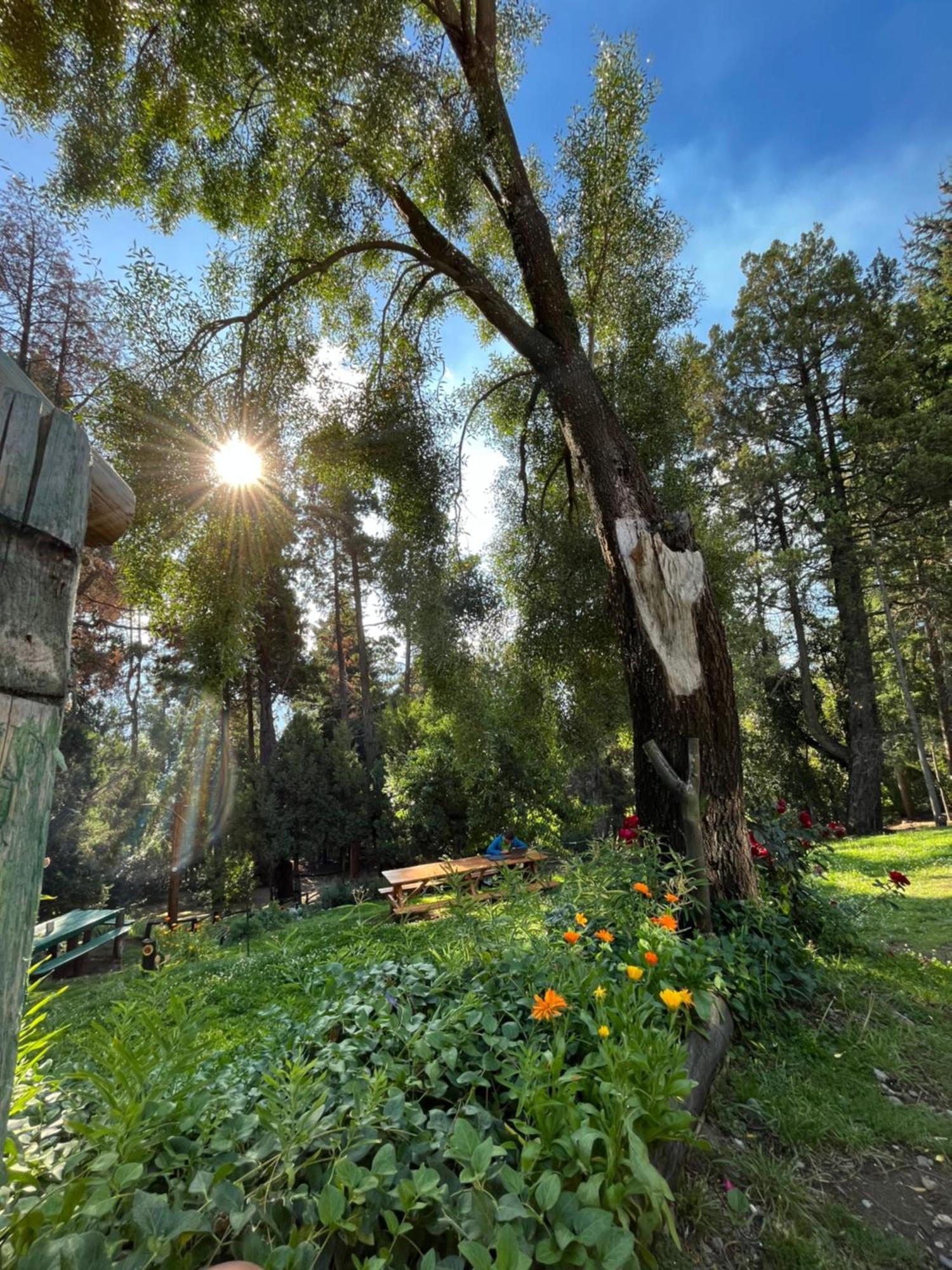Hostel El Mirador El Bolsón 외부 사진