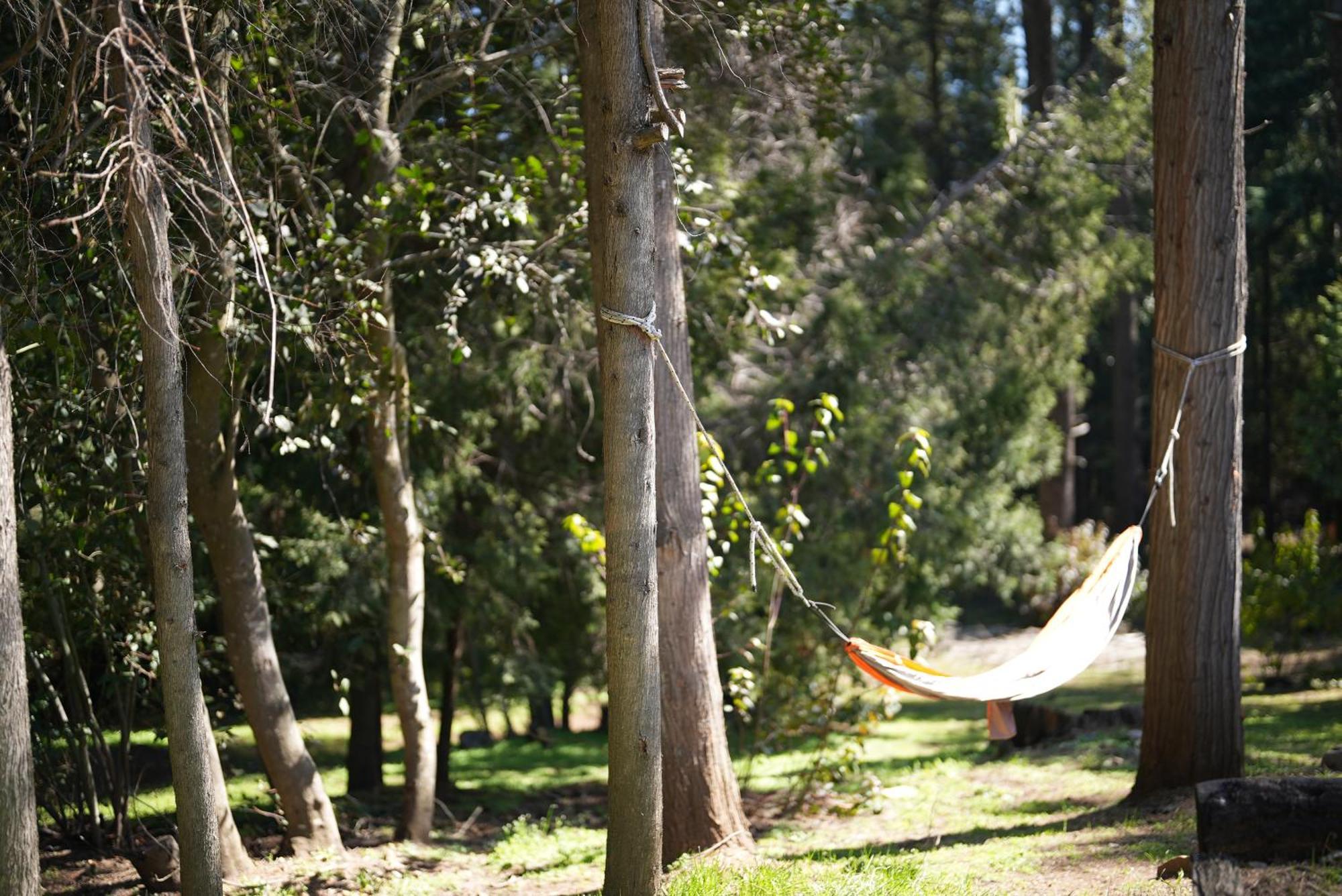 Hostel El Mirador El Bolsón 외부 사진
